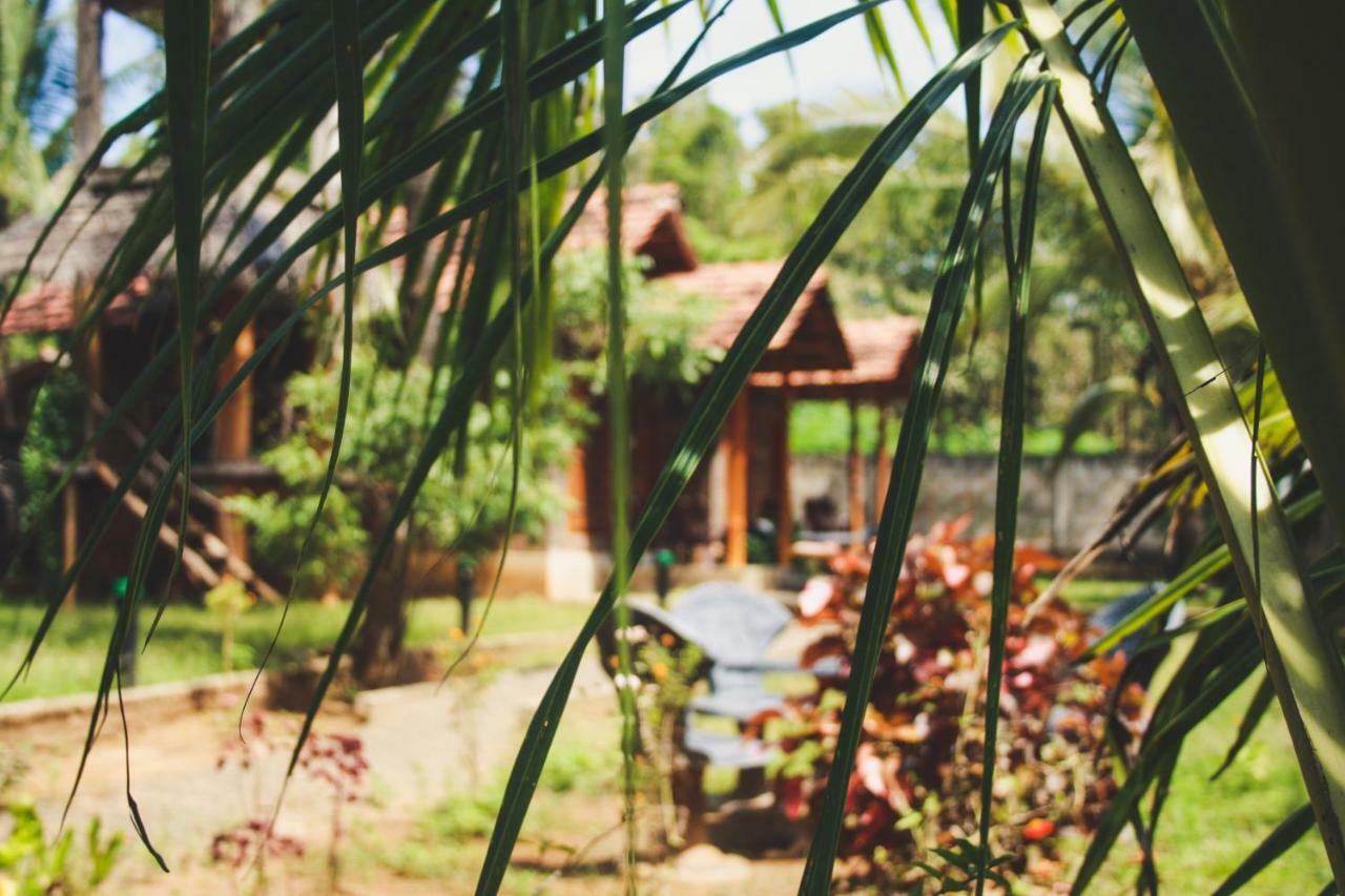 Clay House Hotel อุดาวาลาเว ภายนอก รูปภาพ